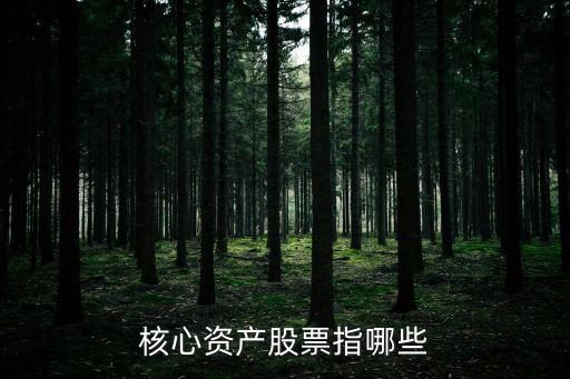 股票里核心资产什么意思，核心资产股票指哪些
