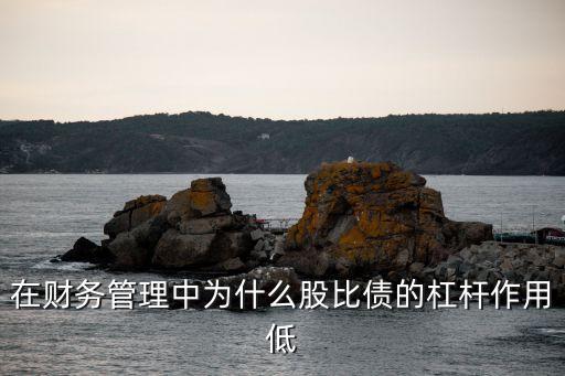 在财务管理中为什么股比债的杠杆作用低