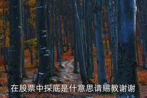 在股票中探底是什意思请赐教谢谢