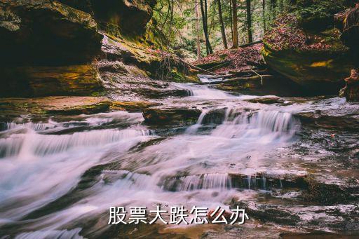 股票大跌怎么办