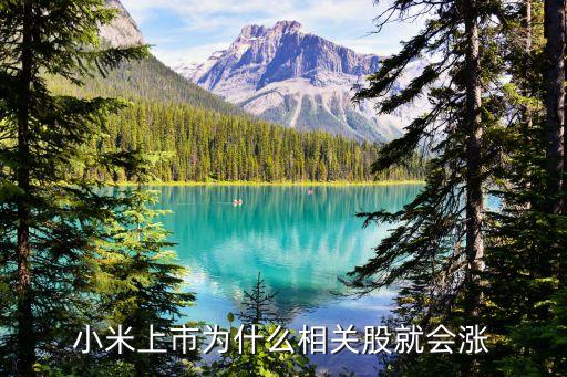小米的股票为什么会涨停，为什么股票会有涨停呢
