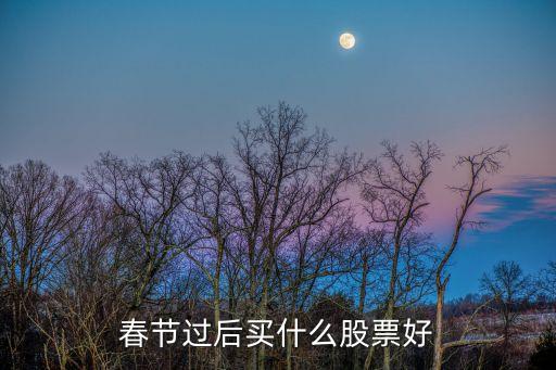 春节过后买什么股票好