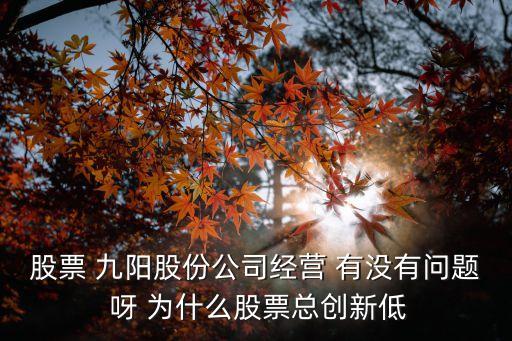 股票 九阳股份公司经营 有没有问题 呀 为什么股票总创新低