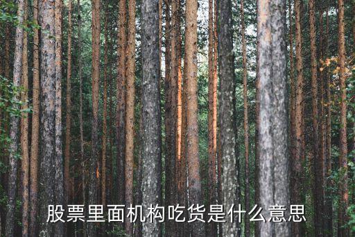 股票里面机构吃货是什么意思