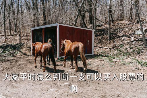 大家平时怎么判断一支可以买入股票的啊
