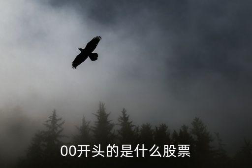 00开头的是什么股票