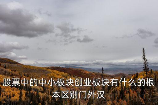 中小创股票有什么用，什么是大盘股什么是中小创股