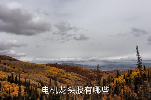 金龙机电是什么概念股票，300032金龙机电属于什么股票