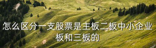 怎么区分一支股票是主板二板中小企业板和三板的