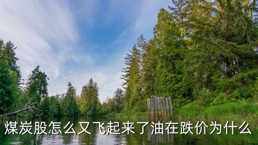 为什么煤炭股票跌了又涨，煤炭股怎么又飞起来了油在跌价为什么