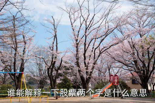 谁能解释一下股票两个字是什么意思