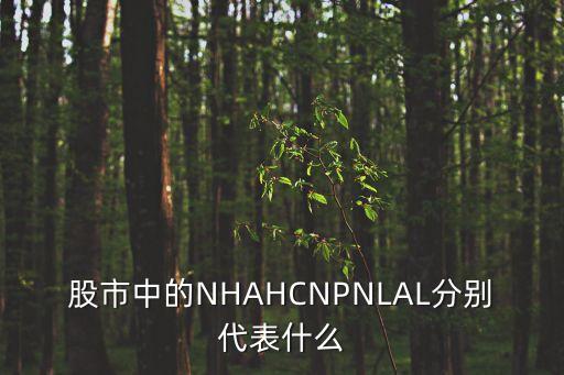 股市中的NHAHCNPNLAL分别代表什么