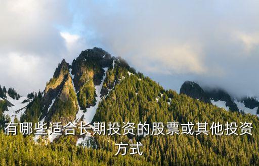 有哪些适合长期投资的股票或其他投资方式