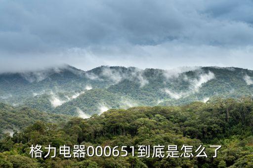 格力电器000651到底是怎么了