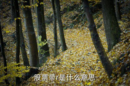 股票带r是什么意思