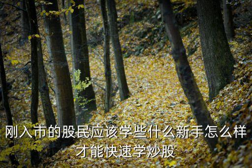 刚入市的股民应该学些什么新手怎么样才能快速学炒股