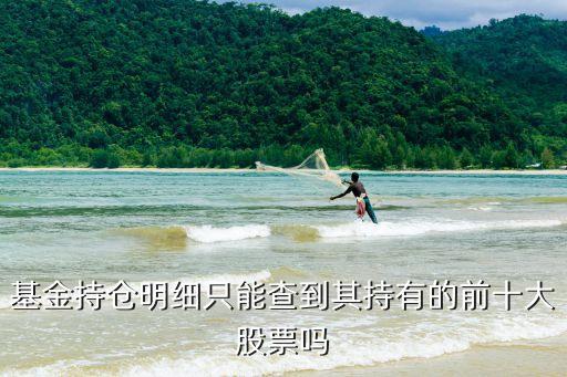 基金持仓公布的是什么股票，基金持仓明细只能查到其持有的前十大股票吗