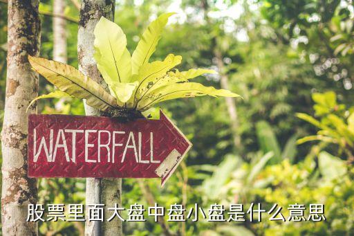 股票里面大盘中盘小盘是什么意思
