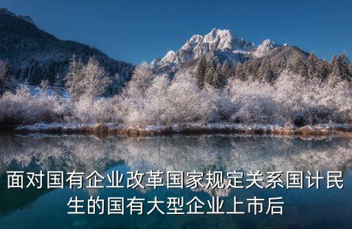 面对国有企业改革国家规定关系国计民生的国有大型企业上市后
