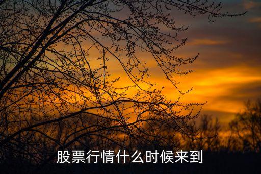 股票走势什么时候能看，股票什么时候有行情