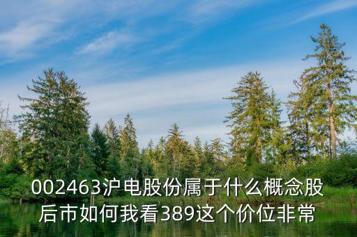 002463沪电股份属于什么概念股后市如何我看389这个价位非常