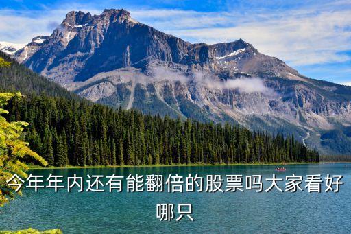 周末选什么股票，星期六这个股票好不好