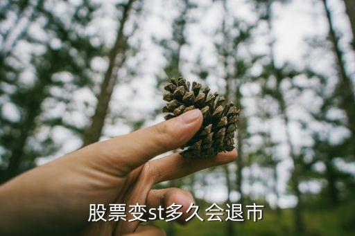 股票变st多久会退市