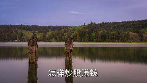 现在股票有什么赚钱的方法，炒股怎么赚钱