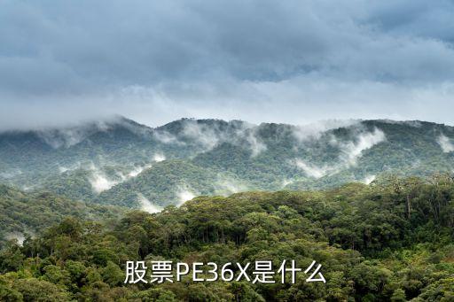 股票PE36X是什么