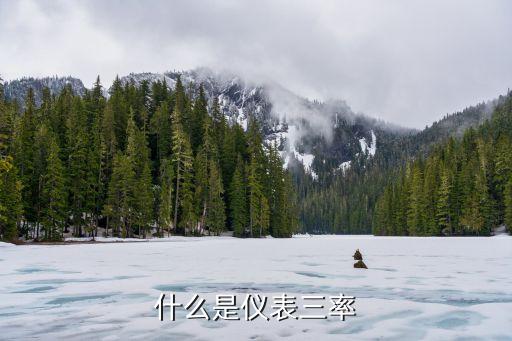 什么是仪表三率
