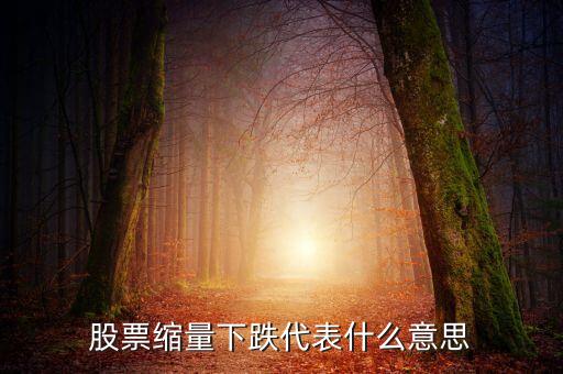 股票缩量下跌代表什么意思