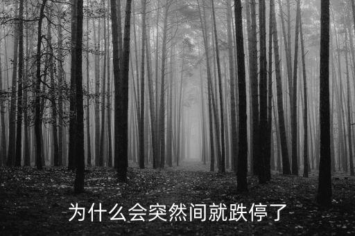 为什么会突然间就跌停了