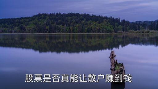 股票是否真能让散户赚到钱