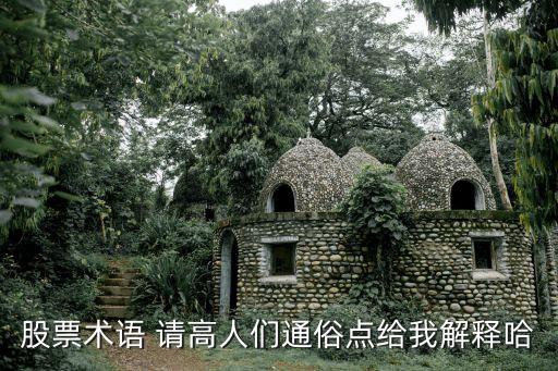 股票术语 请高人们通俗点给我解释哈