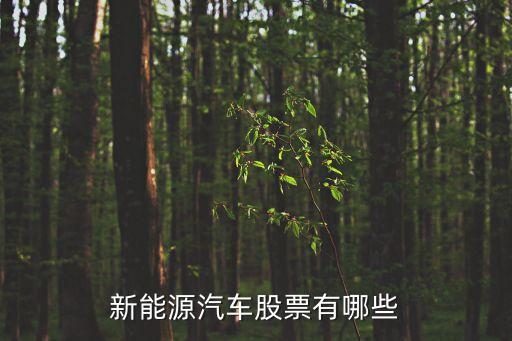 udc股票有什么，加入msci的股票有哪些