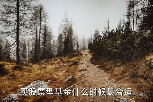 买股票型基金什么时候最合适