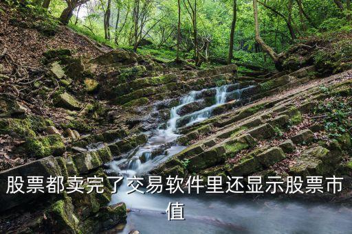 股票卖出了为什么还有市值，我今天随便以一个很高的价格把股票撒卖了居然显示交易成功然后