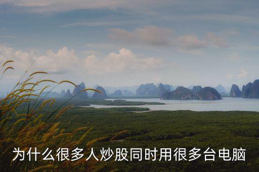 看股票为什么要多个电脑，为什么丁元英看股市用两台电脑