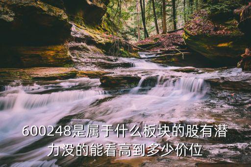 600248是属于什么板块的股有潜力没的能看高到多少价位