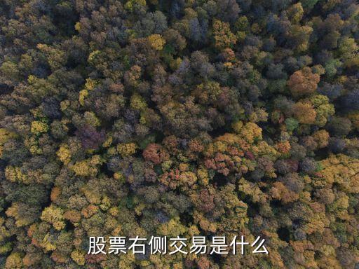 股票右侧交易是什么