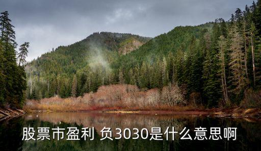股票市盈利 负3030是什么意思啊