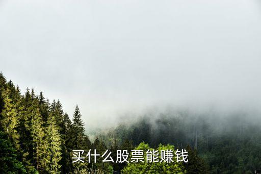 买什么股票能赚钱