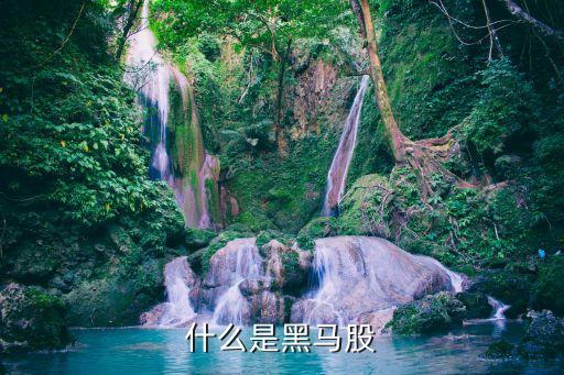 什么是黑马股