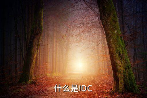什么是IDC