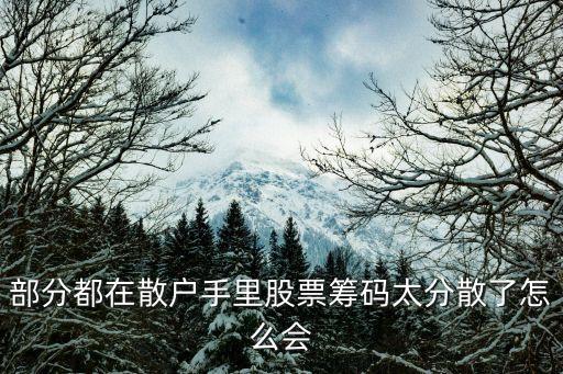 股票为什么会分散投资资金，求分散投资的原理