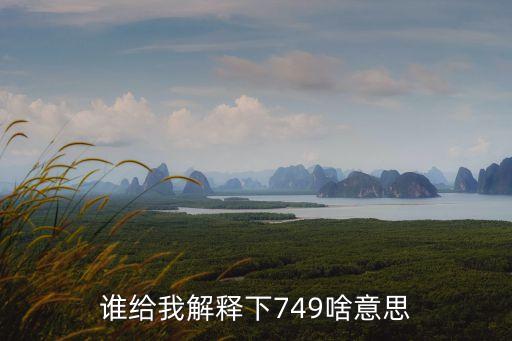 谁给我解释下749啥意思