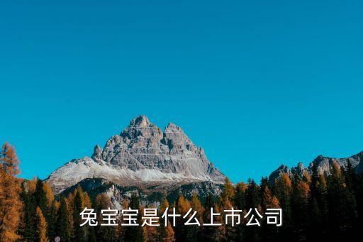 兔宝宝是什么上市公司