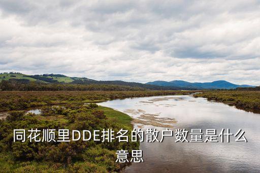 同花顺里DDE排名的散户数量是什么意思