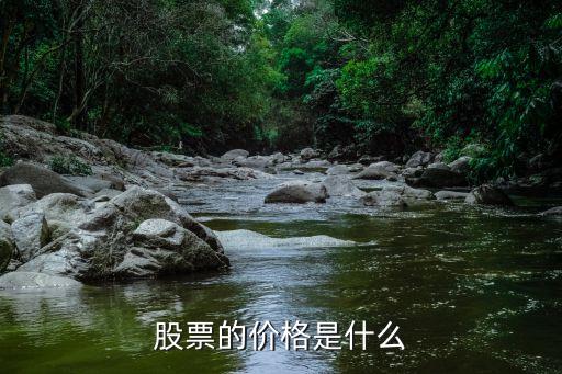 股票的单价是什么，股票的价格是什么