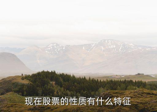 现在股票的性质有什么特征